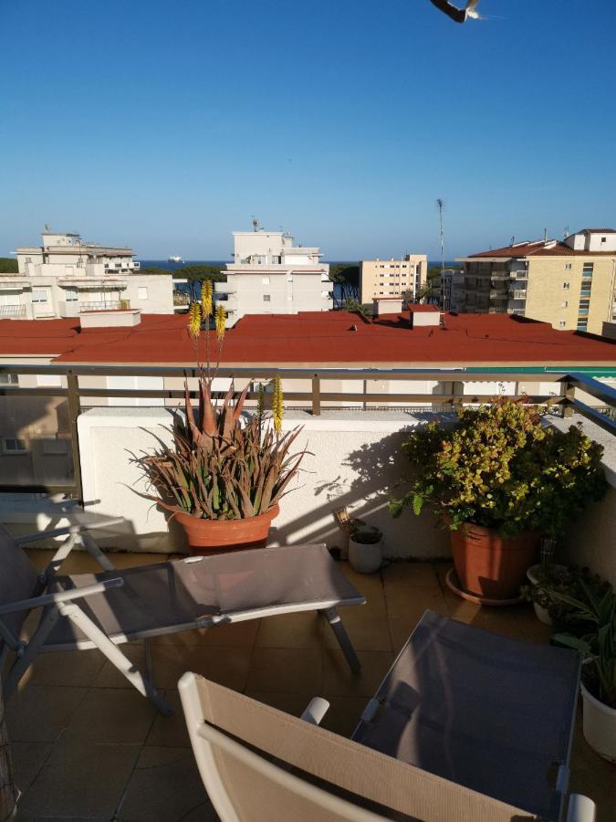 Pina Beach Holidays La Pineda Extérieur photo